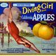 Illustration for article titled Apple